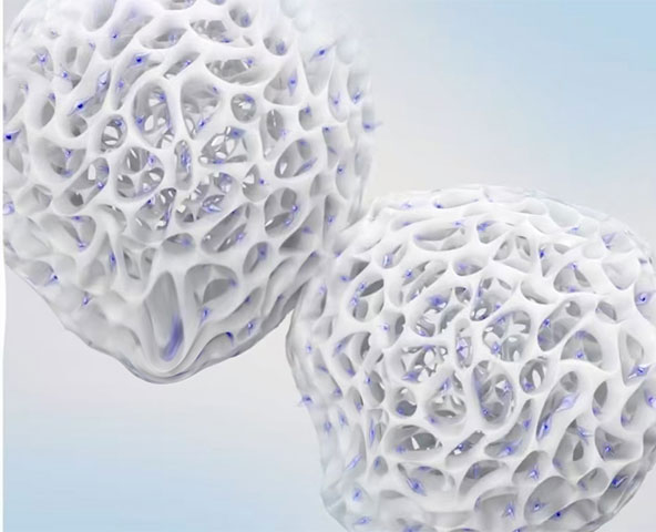 纖維素微載體-減少碰撞導致細胞脫落